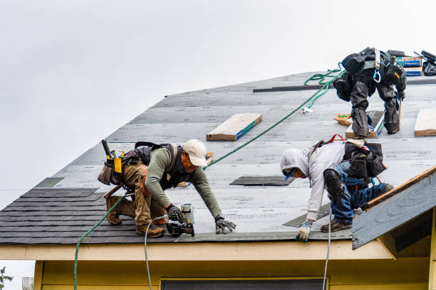 Professional Gutter Installation technician working in Apple River, IL